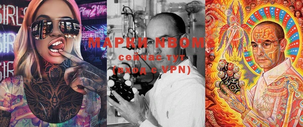 твердый Снежногорск