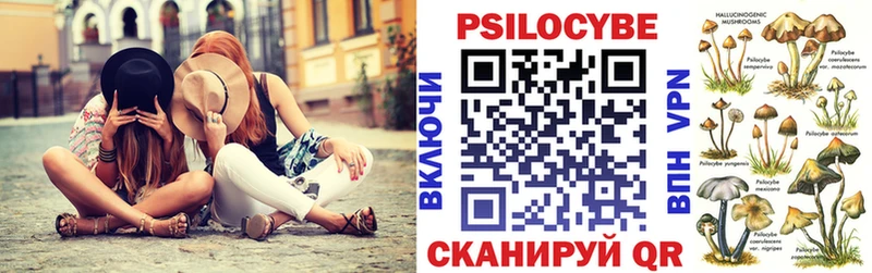 Галлюциногенные грибы Psilocybe Шарыпово