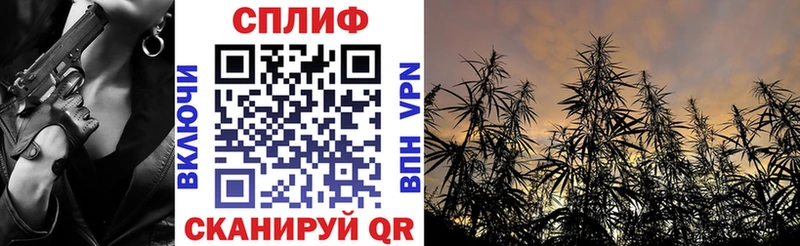 Купить где  Шарыпово  МАРИХУАНА планчик 